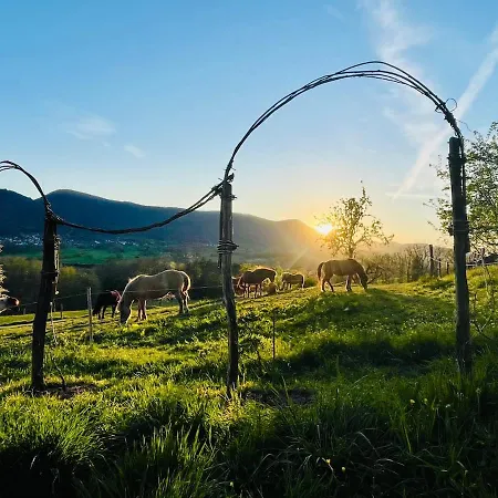 Tiny House Elsass - Natur, Ruhe & Erholung Tatil Evi *