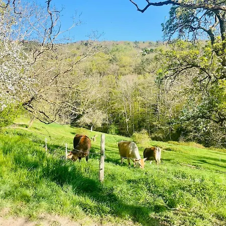 Tiny House Elsass - Natur, Ruhe & Erholung