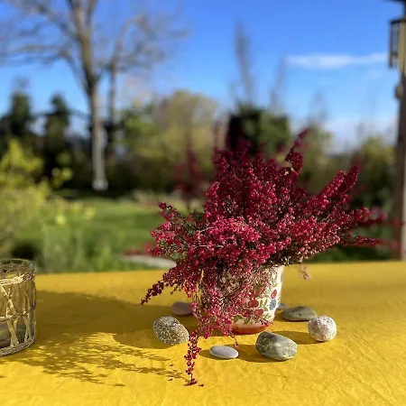 Tiny House Elsass - Natur, Ruhe & Erholung Saint-Pierre-Bois