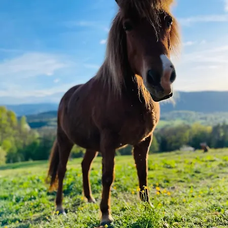 Tiny House Elsass - Natur, Ruhe & Erholung Saint-Pierre-Bois