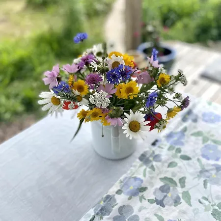 Tiny House Elsass - Natur, Ruhe & Erholung